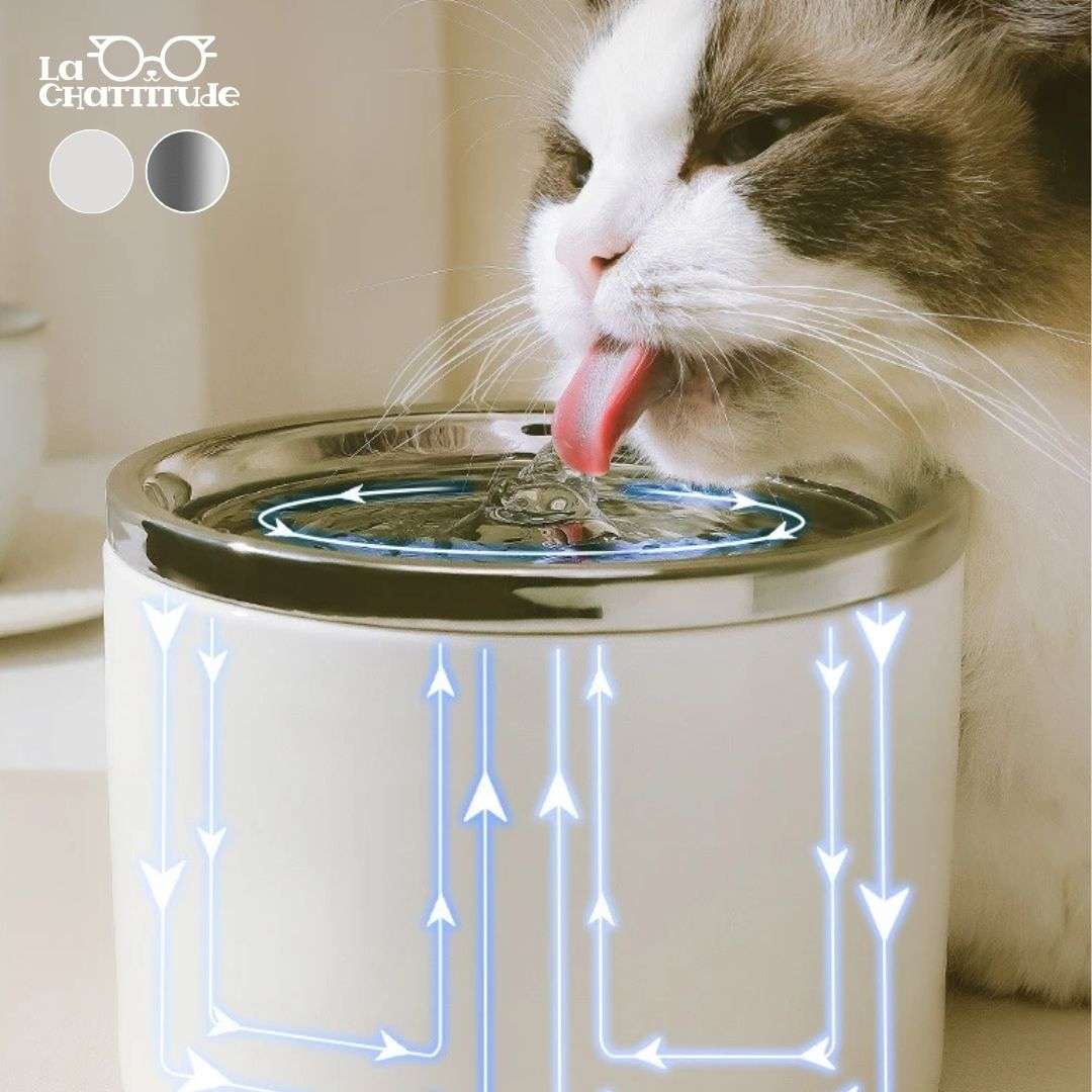 FONTAINE A EAU CHAT | CeramCylinder™ - La Chattitude