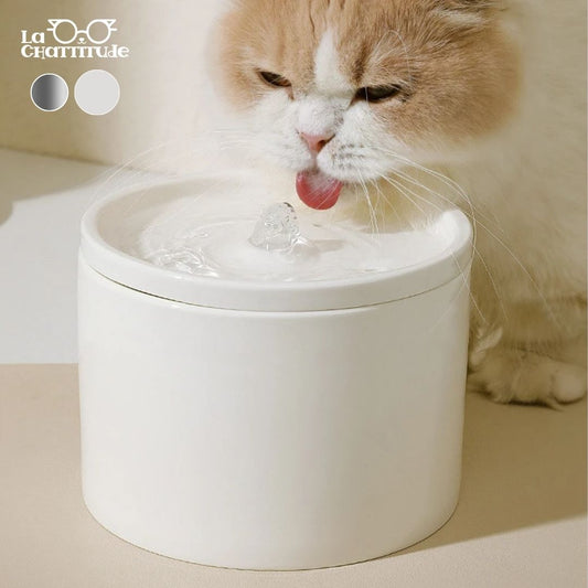 FONTAINE A EAU CHAT | CeramCylinder™ - La Chattitude
