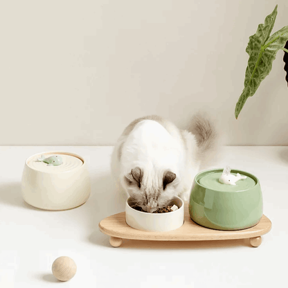 FONTAINE A EAU CHAT - Céramique | CeramFountain™ - La Chattitude