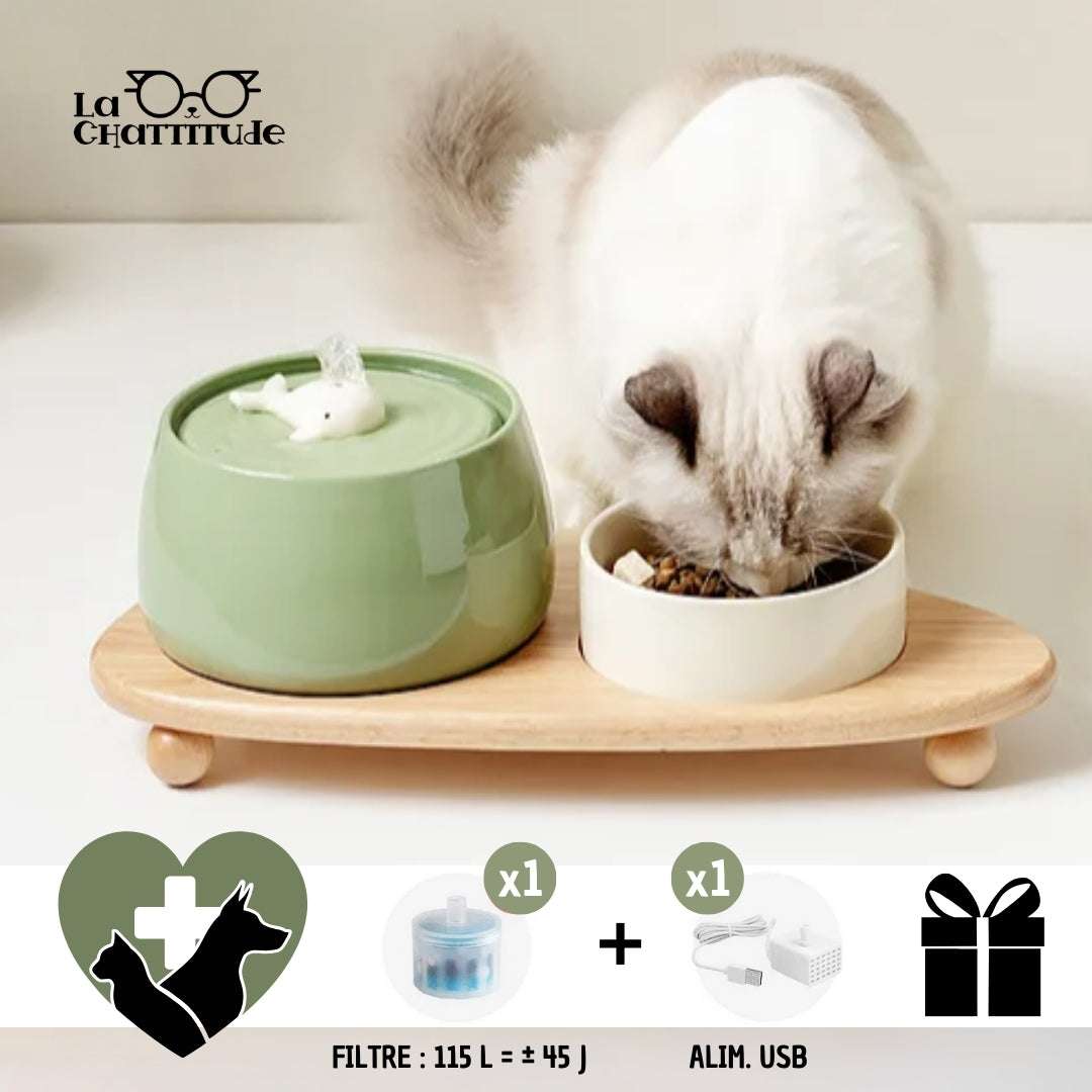 FONTAINE A EAU CHAT - Céramique | CeramFountain™ - La Chattitude