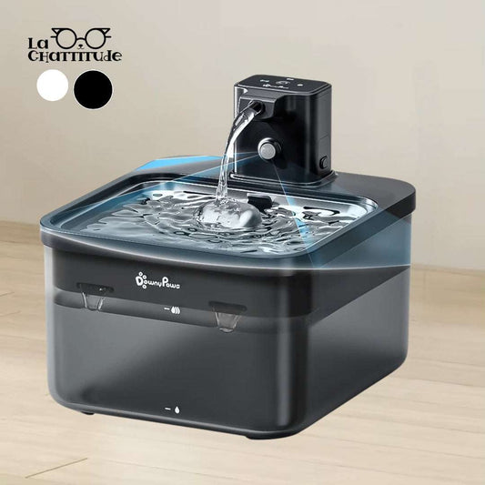 FONTAINE À EAU CHAT | DownyPaws™ - La Chattitude