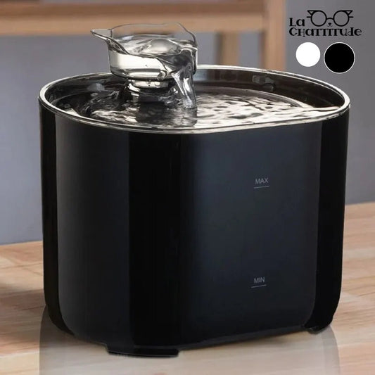 FONTAINE A EAU CHAT | HydroPaws™ - La Chattitude