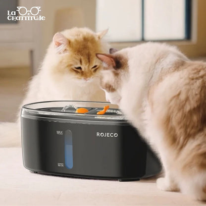 FONTAINE À EAU CHAT | ROJECO™ - La Chattitude