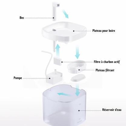 FONTAINE A EAU POUR CHAT | AquaPure™ - La Chattitude