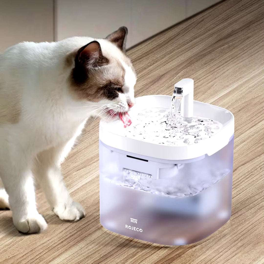 FONTAINE A EAU POUR CHAT | AquaPure™ - La Chattitude