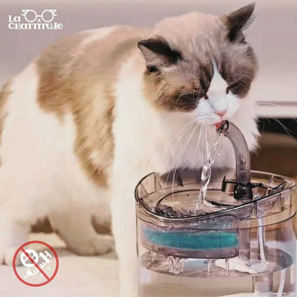 FONTAINE EAU CHAT | Crystal - Fountain™ - La Chattitude