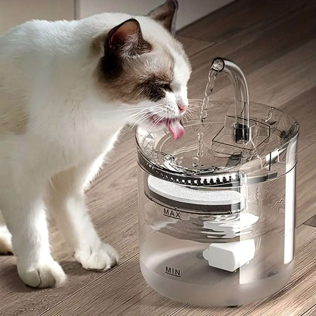 FONTAINE EAU CHAT | Crystal - Fountain™ - La Chattitude