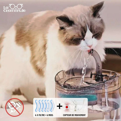 FONTAINE EAU CHAT | Crystal - Fountain™ - La Chattitude