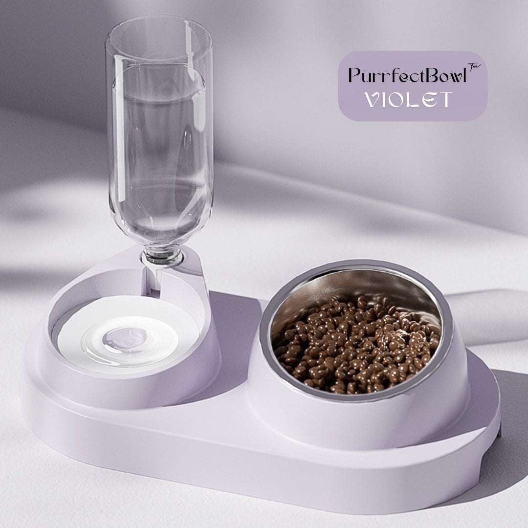GAMELLE CHAT - 2 en 1 | PurrfectBowl™ - La Chattitude