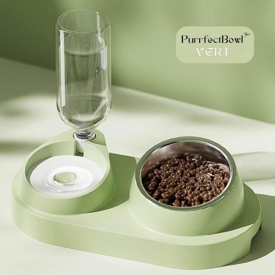 GAMELLE CHAT - 2 en 1 | PurrfectBowl™ - La Chattitude