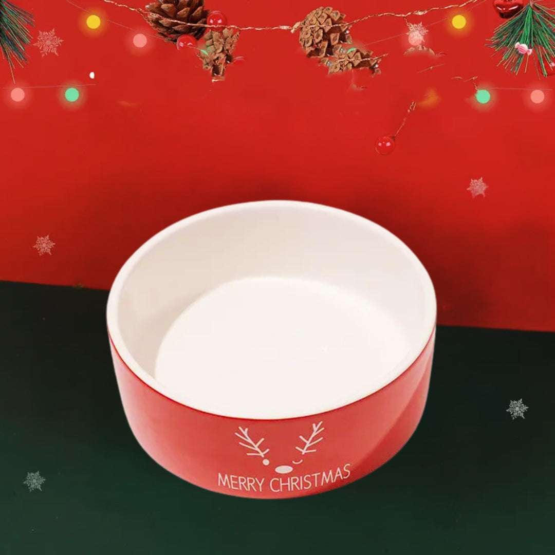 GAMELLE CHAT - Gamelle céramique pour chat | Le Pack Cadeau Idéal pour Noël - La Chattitude