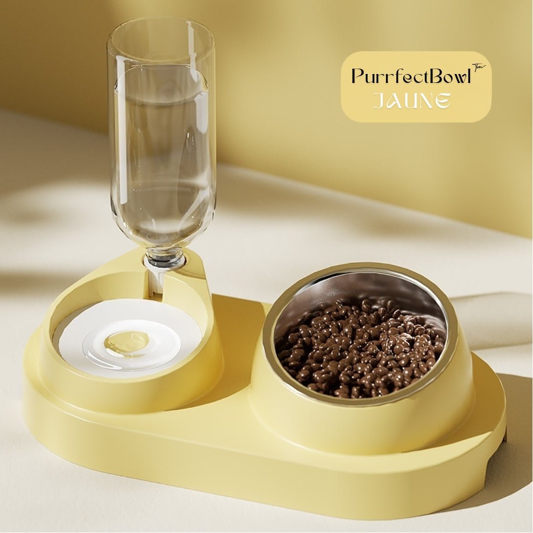 gamelle-chat-jaune-purrfectbowl