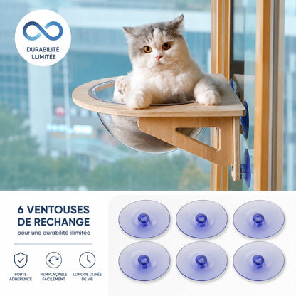 HAMAC CHAT - hamac pour chat bulle | Bubbly - Perch™ - La Chattitude