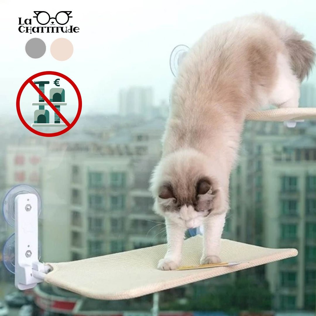 HAMAC POUR CHAT - hamac chat pliable | Kitty - Perch™ - La Chattitude