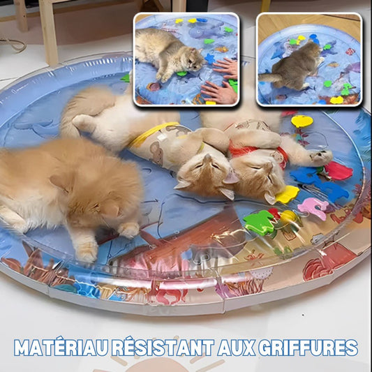 IcyPaws™ | Tapis à eau rafraîchissant pour chats & chiens - La Chattitude