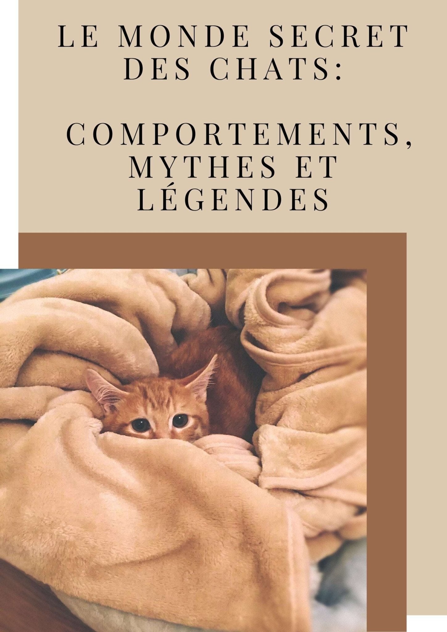 Le monde secret des chats comportements, mythes et légendes - La Chattitude
