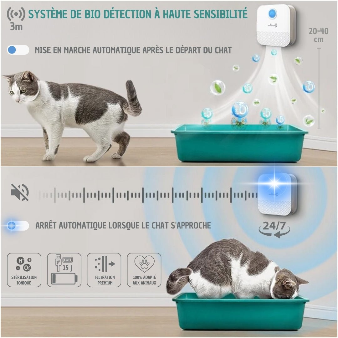 LITIÈRE CHAT | Downy - Paws™ : Solution anti - odeur intelligente - La Chattitude