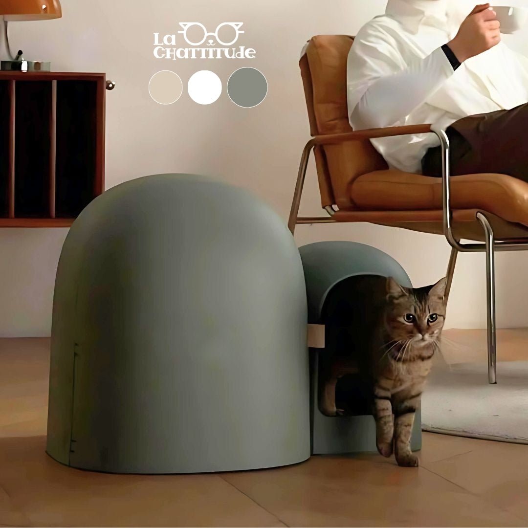 litiere-litiere-chat-litiere-box-vert