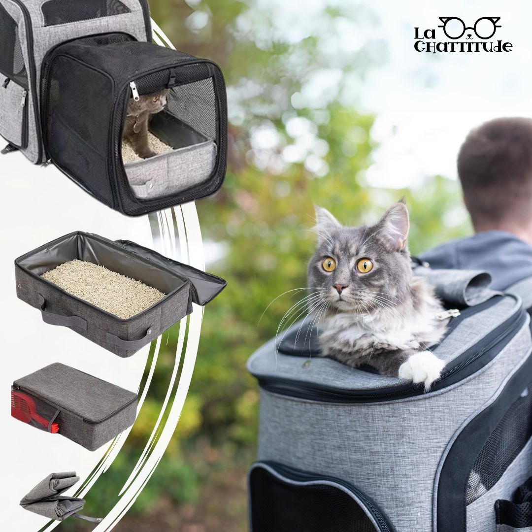 LITIERE POUR CHAT | Litiere - Nomade™ litière transportable - La Chattitude