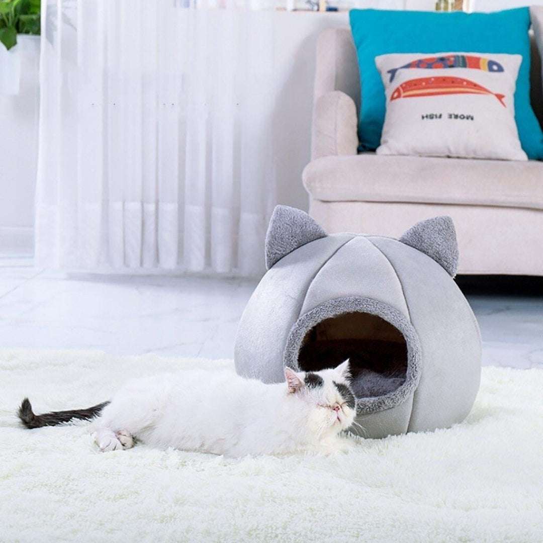 NICHE POUR CHAT - Maison pour chat | Comfy - House™ - La Chattitude