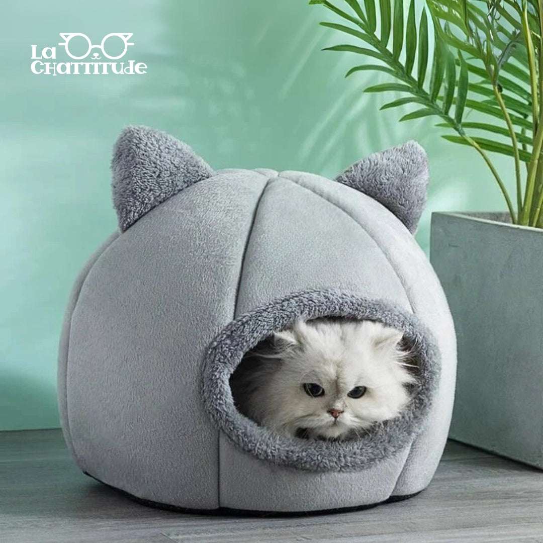 NICHE POUR CHAT - Maison pour chat | Comfy - House™ - La Chattitude