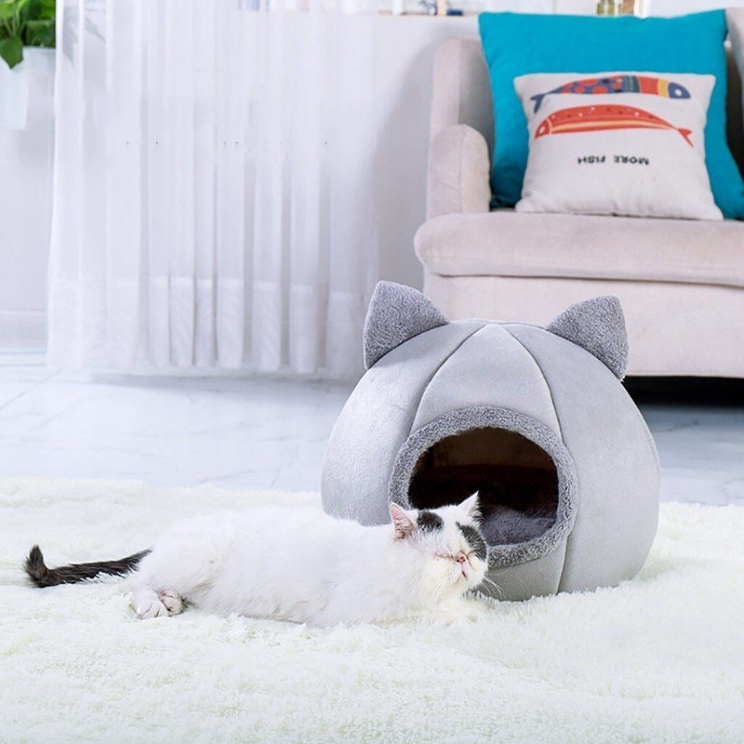 niche-pour-chat-maison-pour-chat-spacieux-comfyhouse