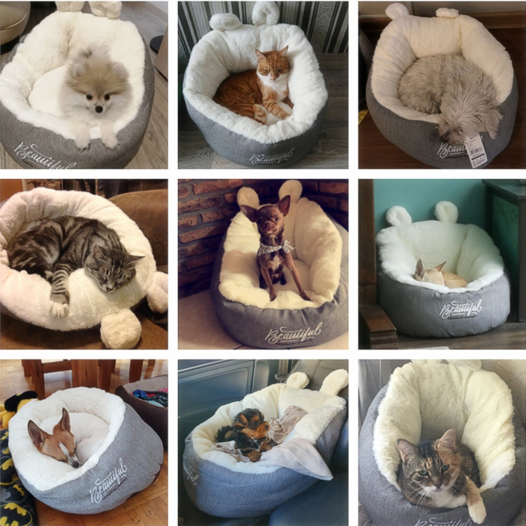 panier-chat-panier-pour-chat-avis-clients-cozynest