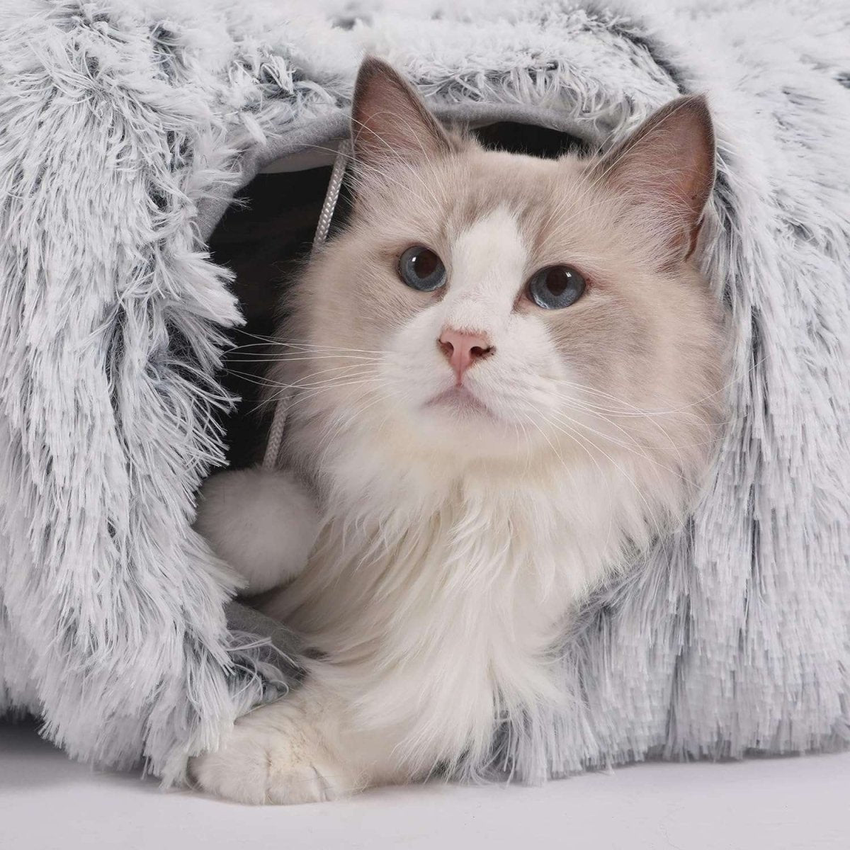PANIER CHAT - Tunnel pour chat multifonction | Dream - Cave™ - La Chattitude