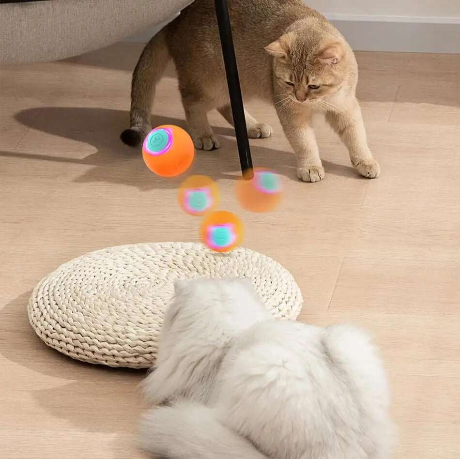 PetBall™ | Jouet interactive pour chats & chiens - La Chattitude