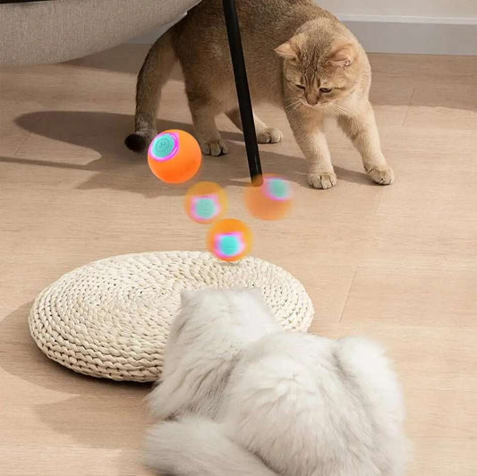 PetBall™ | Jouet interactive pour chats & chiens - La Chattitude