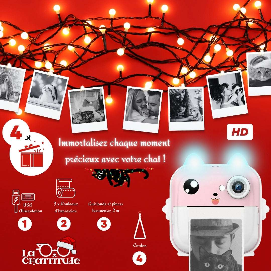POLAROID CHATS - CADEAU DE NOËL| Print Camera - InstaPaws™ - La Chattitude