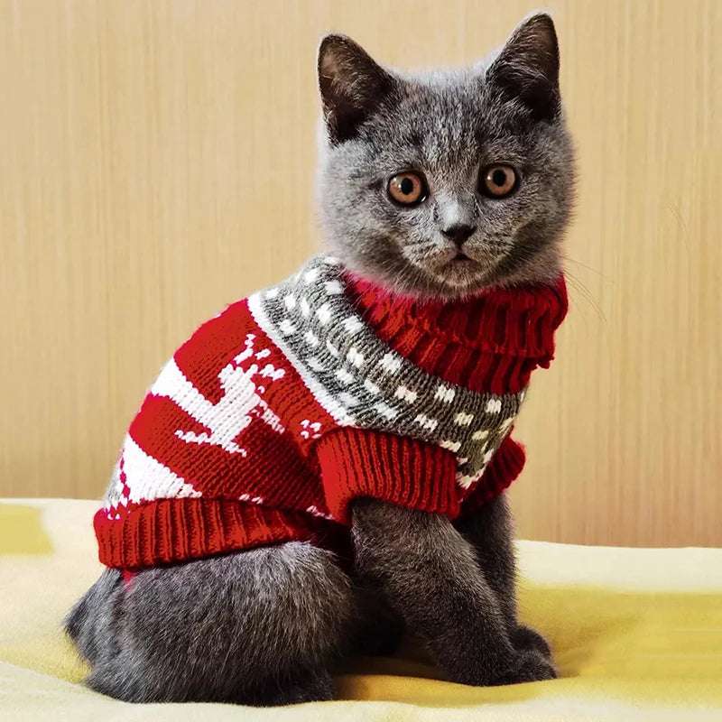 PULL POUR CHAT - Pull de Noël pour Chat | NoëlStyle™ - La Chattitude