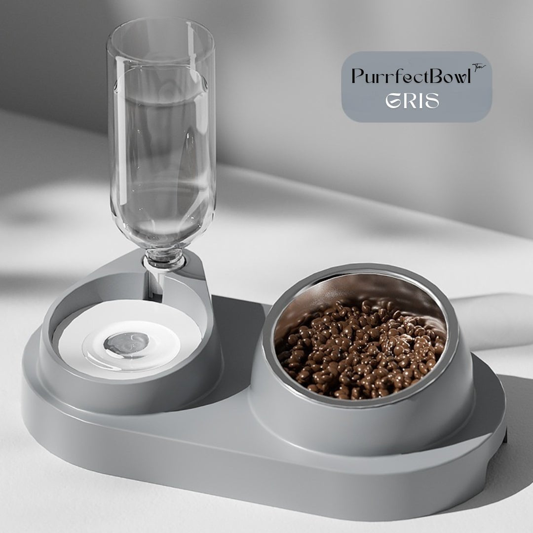 PurrfectBowl™ | Gamelle Automatique pour Chats avec Inclinaison Ergonomique - La Chattitude