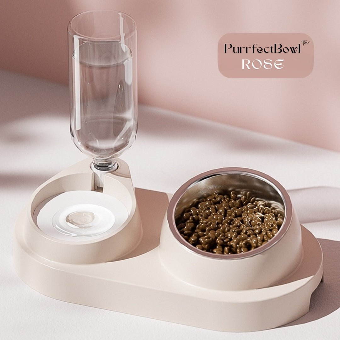 PurrfectBowl™ | Gamelle Automatique pour Chats avec Inclinaison Ergonomique - La Chattitude