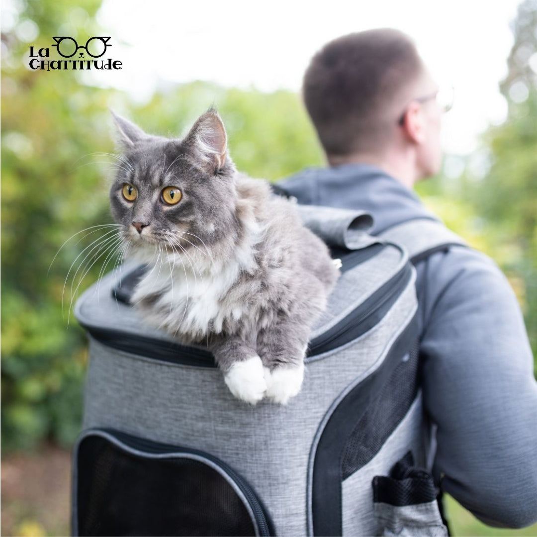 PuppyOut™ | Sac de transport extensible pour chat