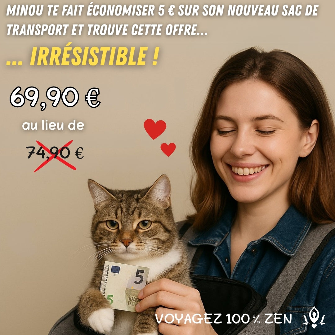sac-de-transport-pour-chat-economique-puppyout