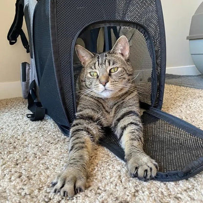 sac-de-transport-pour-chat-extensible-puppyout
