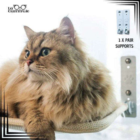 Supports Ventouses - hamac chat pliable | Kitty - Perch™ - La Chattitude