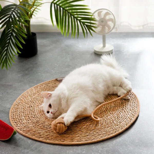 Tapis en Osier pour chat - La Chattitude