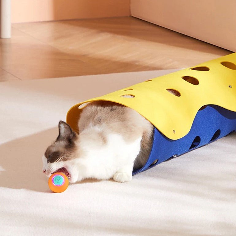 jouet-chat-intelligent-petball