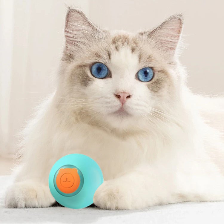 jouet-chat-turquoise-petball