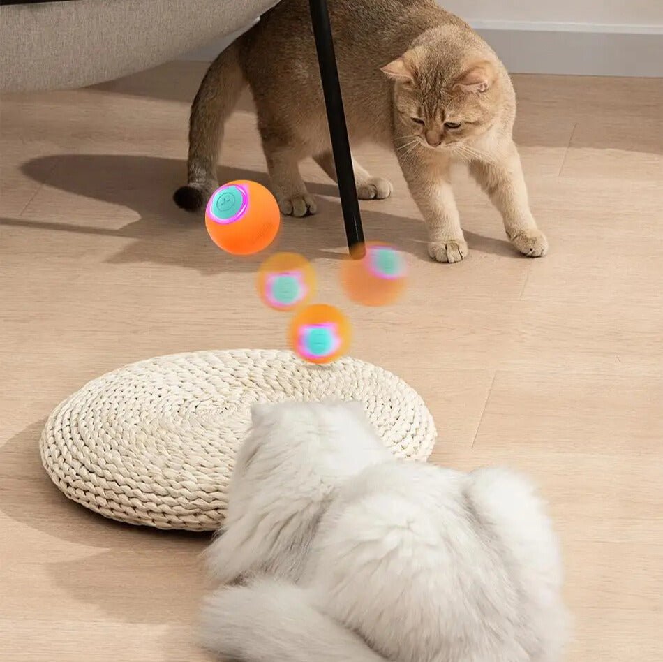 PetBall™ | Jouet interactive pour chats et chiens - La Chattitude