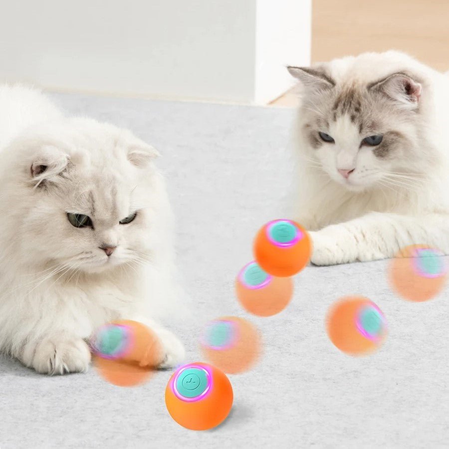 PetBall™ | Jouet interactive pour chats et chiens - La Chattitude