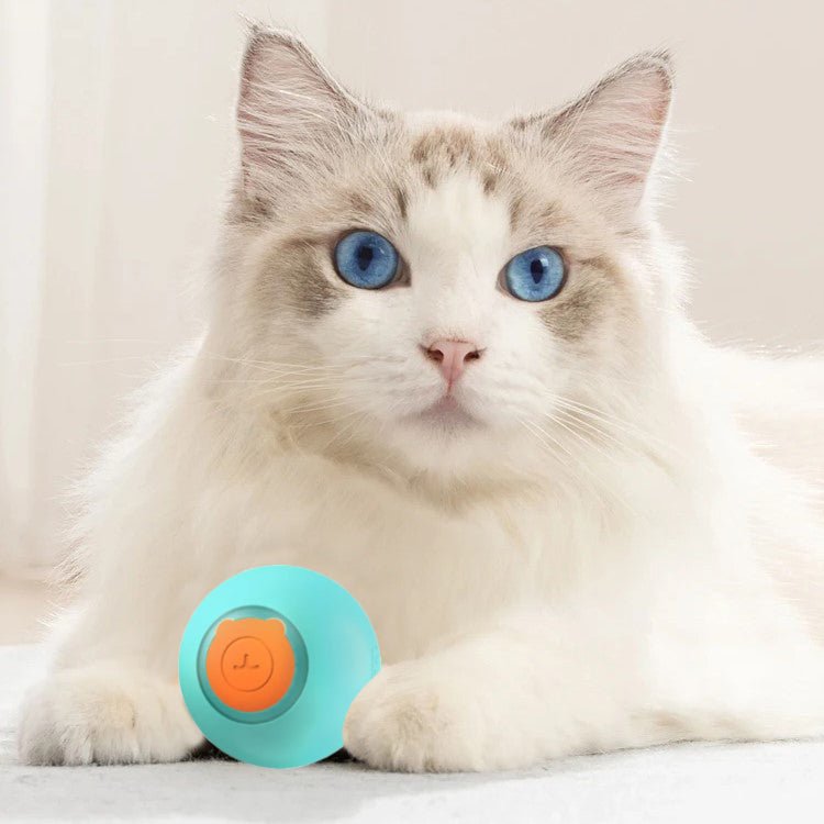 PetBall™ | Jouet interactive pour chats et chiens - La Chattitude